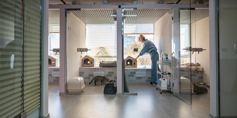 Animal Shelter Design
